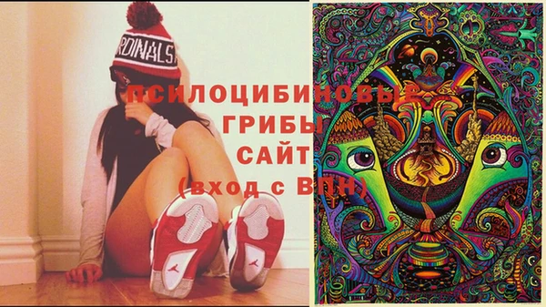 PSILOCYBIN Володарск