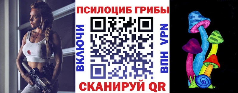 гидра   Владимир  Псилоцибиновые грибы ЛСД 
